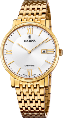 Часы Festina Swiss Made F20020/1